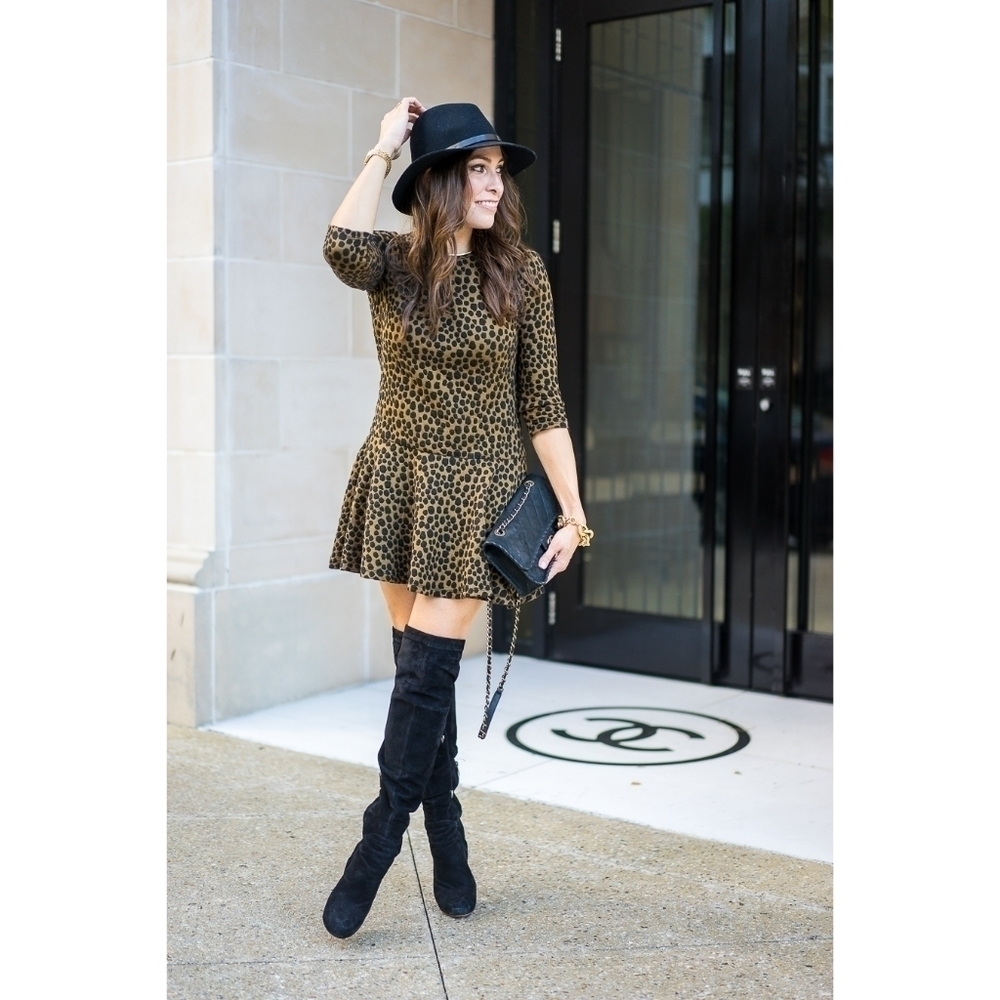 LOFT Leopard Print Drop Waist Dress